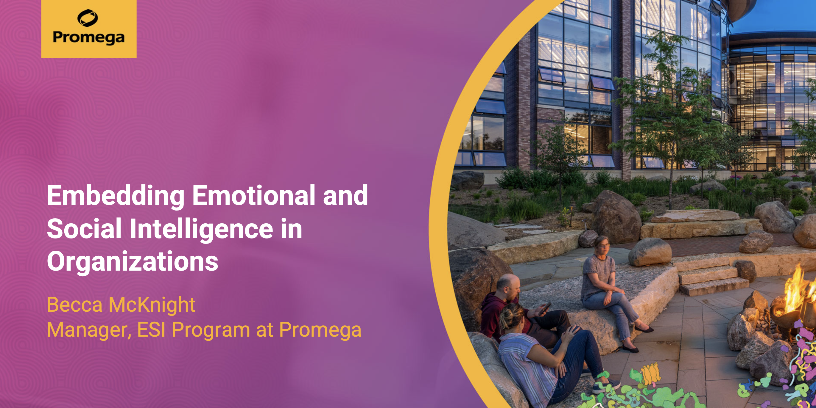 4. Promega Presentation Slides: Embedding Emotional and Social Intelligence in Organizations thumbnail
